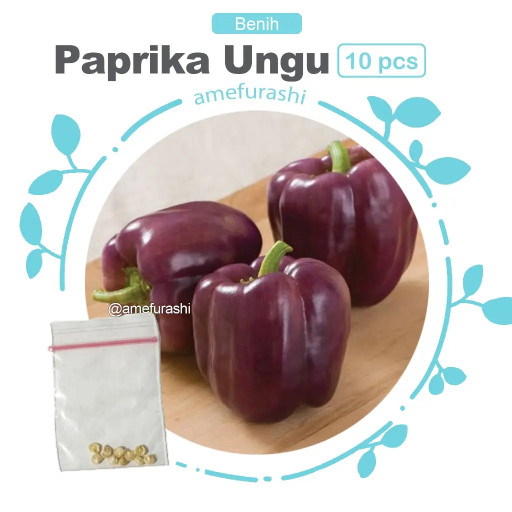 Paprika Ungu 10 Biji