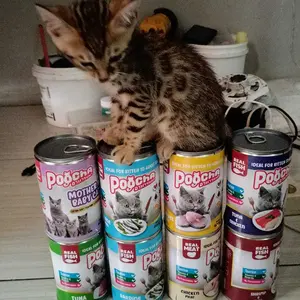 POOCHA KALENG 400GR 400 GR GRAM MAKANAN KUCING BASAH
