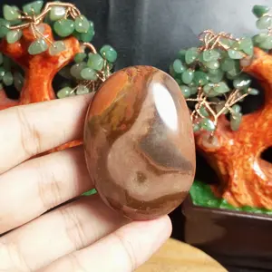 Natural Polychrome Jasper Stone Palm (6)