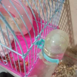 Botol Minum Bola Hamster & Kelinci 60/80/125ml Anti Tumpah 4 Warna Bisa Satuan/Set Bahan food grade