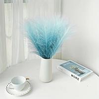 Gambar Wholesale pampas 1 PCs/Without Feathers/Pampas/rustic dried flowers Bunga Hiasan Rotan - Abu-abu (Grey), 1 PCS (Sampel) dari Dekorasi Tanaman Buatan Kab. Tangerang 5 Tokopedia