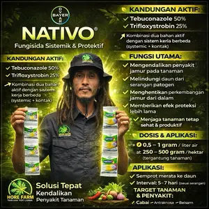 NATIVO 75WG FUNGISIDA dari bayer