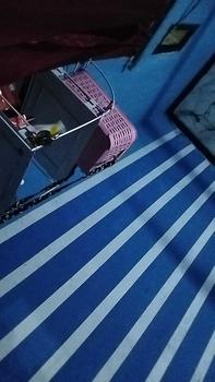 Product Review of PARFUM CEWEK ELEGANT/Parfum AWET/Tahan Lama/50ml from f**n 0