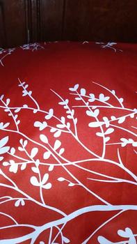 Product Review of sarung bantal jumbo uk 50x70 pakai resleting katun halus from n**9 2