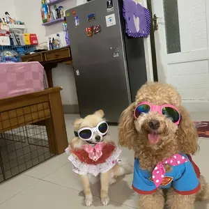 Pet Glasses Foldable Small Medium Large Dog UV Protection Sunglasses Dog Cat Accessories
