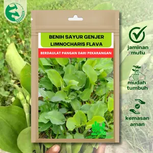 Benih Sayur Genjer Gendot Ratusan Biji Unggul Urban Farming