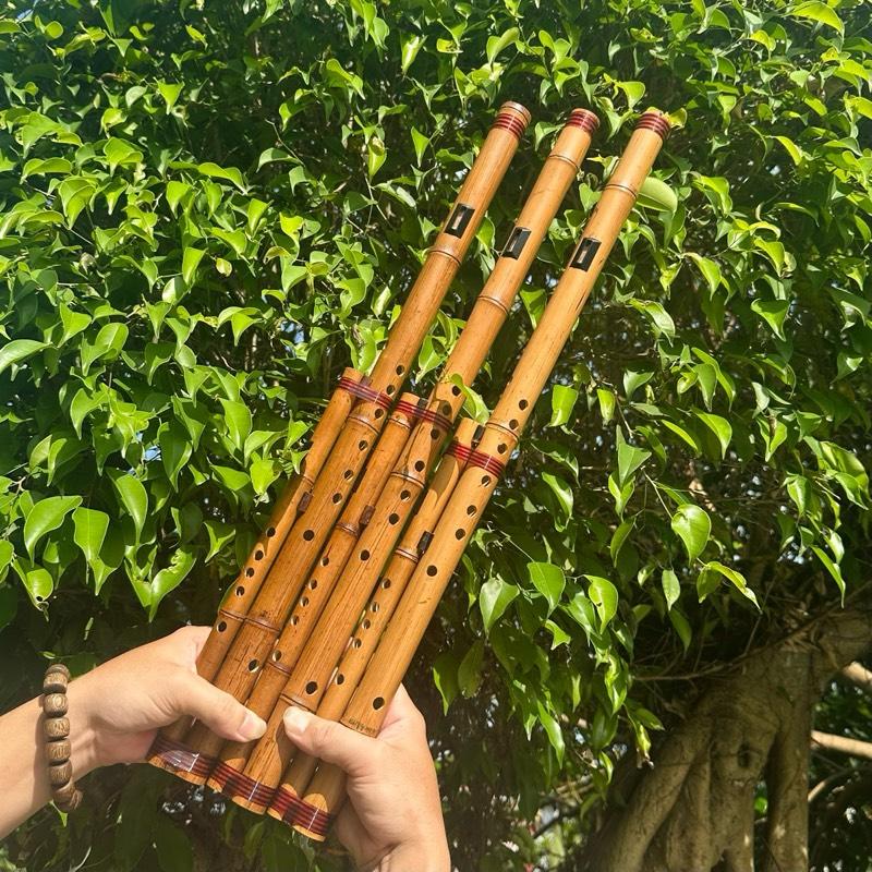 Sáo Mèo Kép Trúc Hun Chất Lượng Âm Chuẩn biểu diễn sáomèo 8