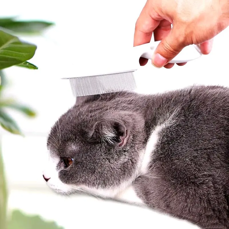 Grooming Sisir Kutu Kucing dan Telurnya dengan Serit Logam Gagang Panjang - Alis, Haircare 3
