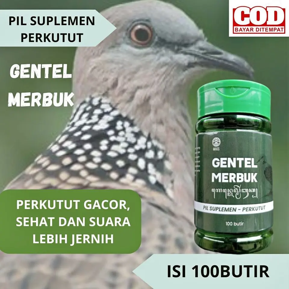 GENTEL MERBUK - Multivitamin Premium untuk Perkutut, Energi Maksimal, Suara Gacor Tak Terkalahkan! PIL Multivitamin Perkutut / Derkuku / Katuranggan / Lokal