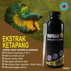 Ekstrak- KETAPANG Untuk Perawatan ikan Hias