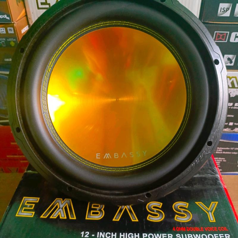 Subwoofer Embassy 12 inch EW-126 Double Coil Speaker 5