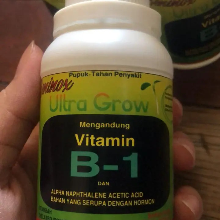 PUPUK VIT B1 VITAMIN - Vitamin B1 Tanaman Tahan Penyakit Beninox 100ml