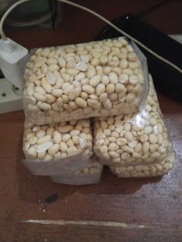 Product Review of 5 bungkus Kacang Kupas Asli Tuban 250g x 5 Bungkus - Total Berat 1,250g - Goreng, Food, Mete, Kering, Snack, Cemilan Bawang Makanan Camilan Mede from m**3 3
