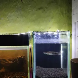 Paket Lampu HLS-5050 SMD [SIAP PAKAI] /Lampu LED Strip Leadless SMD PVC IP65 Waterproof/ Lampu Hias Anti Air/Sudah Termasuk Soket