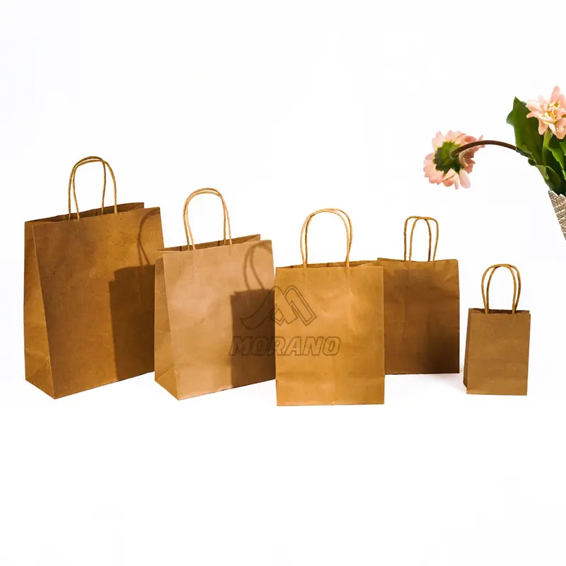 5 Pcs Paper Bag Tas Souvenir Paper Craft Goodie Bag Tas Belanja 2