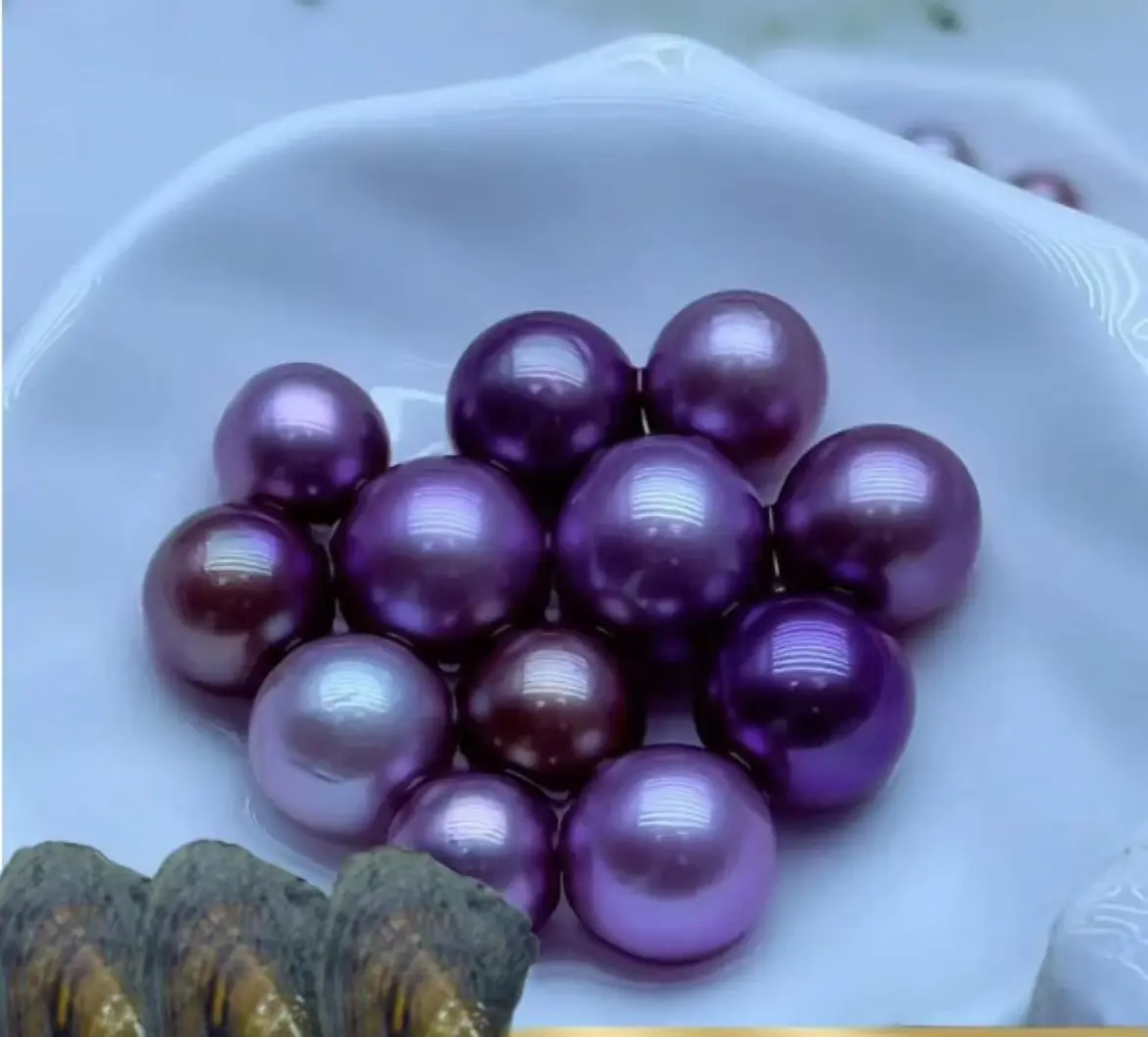 [OPEN CLAM] Demon Purple Dragon Ball pearl(12+mm)