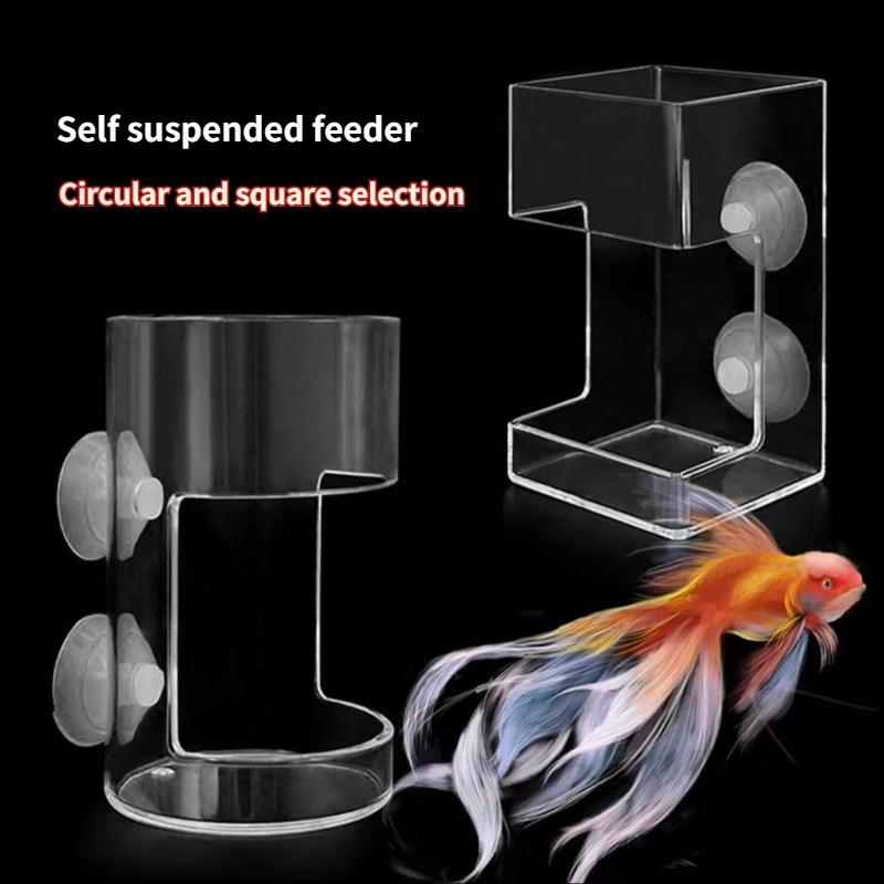 Fish tank feeder/acrylic small fixed-point feeding tube/sinking anti drift feeder/feeding ring/fish food anti drift feeder 9