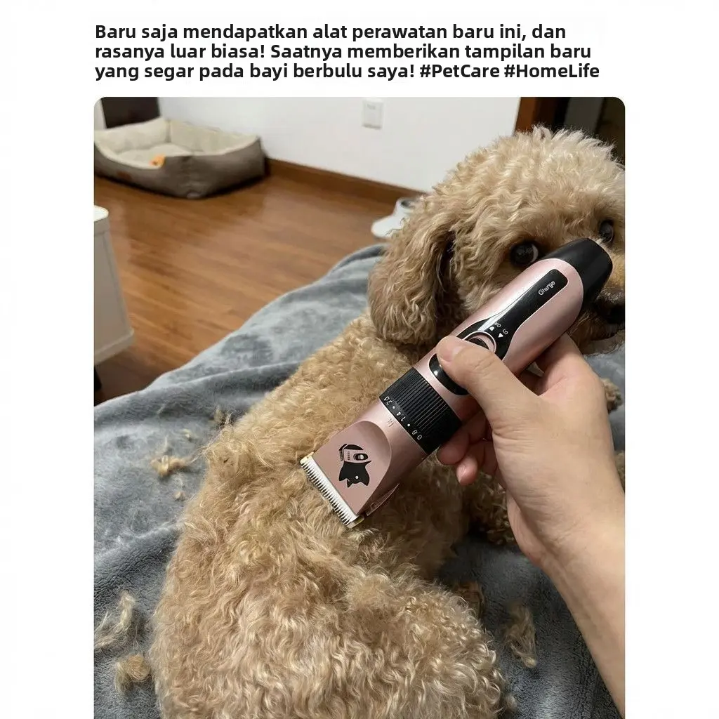 Pemangkas bulu anjing tanpa suara, alat cukur hewan peliharaan elektrik, alat cukur elektrik profesional untuk memangkas bulu kucing dan anjing jenis Teddy.
