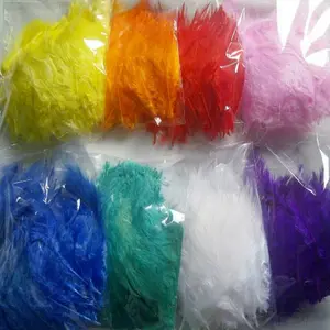 1 Pack 50 Lembar Bulu Ayam Warna Warni Bulu Ayam Bahan Kerajinan DIY Kreatifitas Aksesoris Craft