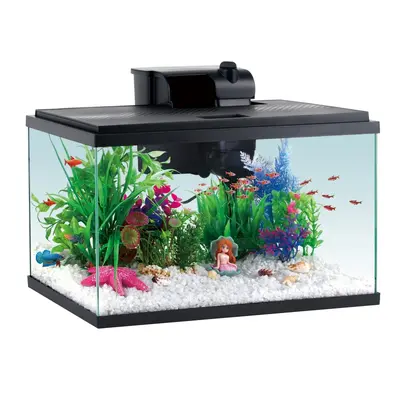 Selected 5 Gallon Self Cleaning Aquarium Kit TikTok Shop