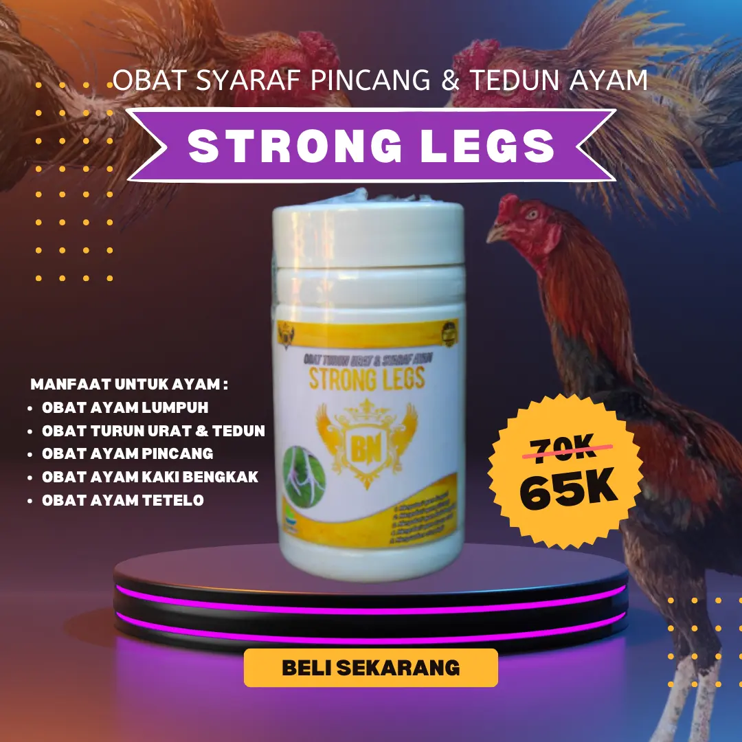 Obat Ayam Lumpuh STRONG LEGS  --> untuk pengobatan kaki terbaik untuk penyakit seperti Turun Urat, Tedun, Rambat, Bengkak Kaki, dan Cacar Kaki