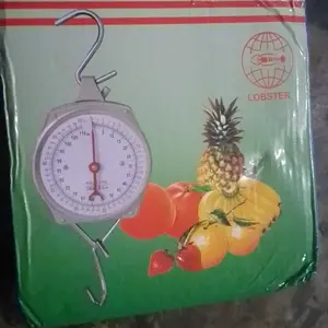 Hanging Scale 100 Kg / Timbangan Gantung Buah