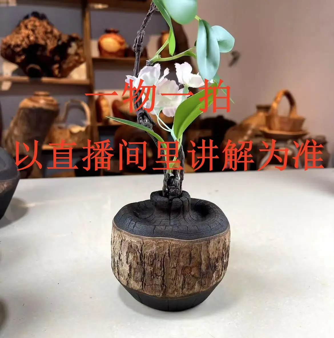 Cinnamomum camphora and apple small vase