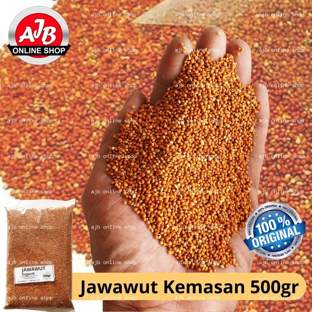 Biji Jewawut Jawawut Organik Pilihan Makanan Burung Kenari Lovebird Perkutut