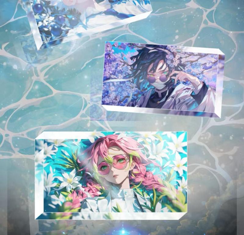 DS 3d Frame Picture Card  (6 card/ box ,Paper and PVC Cards for Collecting games) 1
