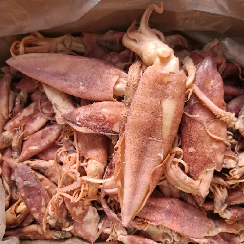 CUMI JARUM ASIN SUPER KUALITAS PREMIUM MURAH GRADE A 6