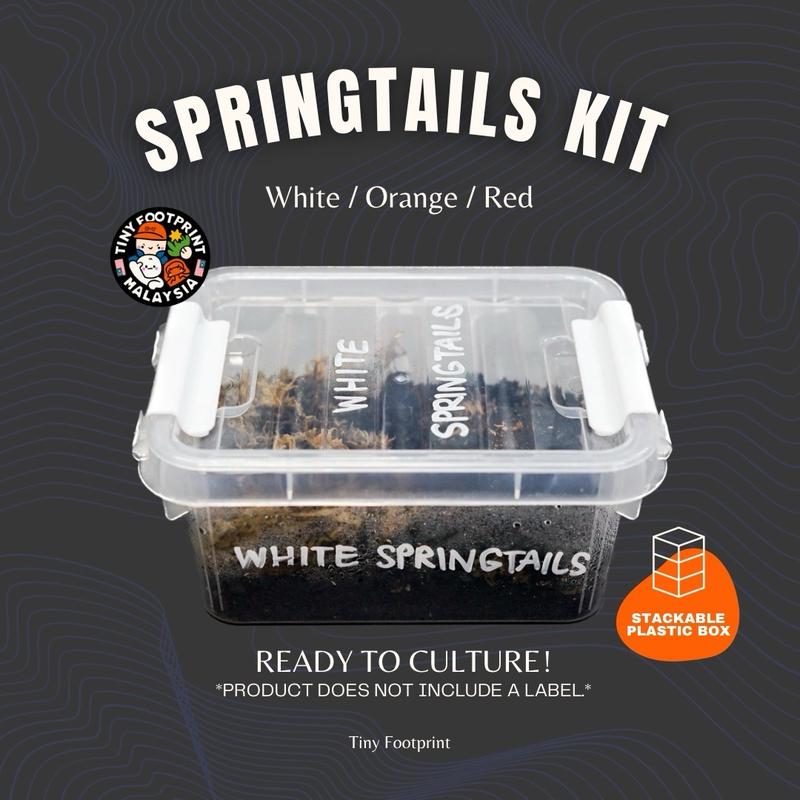 Tiny Footprint — springtails kit / terrarium cleaning crew kit - TikTok ...
