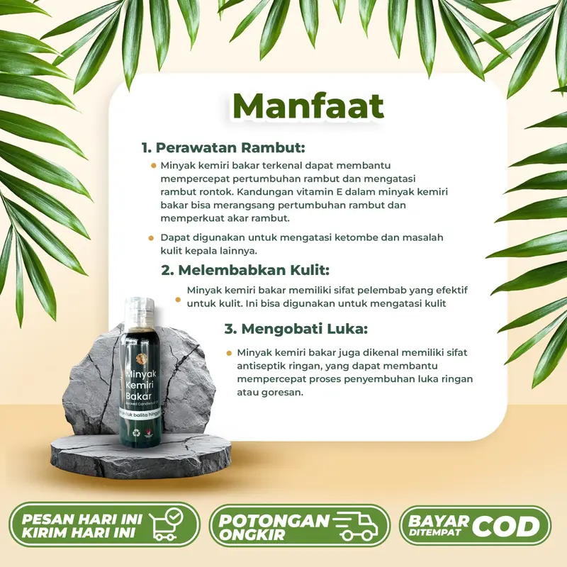 Minyak kemiri bakat original asli 100% penumbuh rambut botak, rontok, dan pelebat rambut, mencegah uban 3