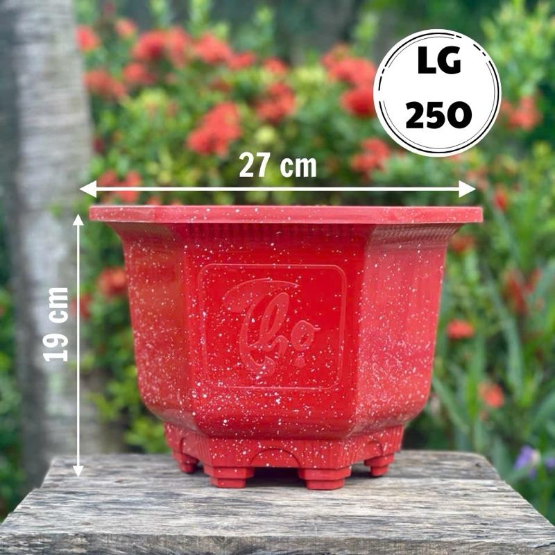 Combo 10 Cái Chậu Nhựa Lục Giác 250 27 x 19 trồng cây