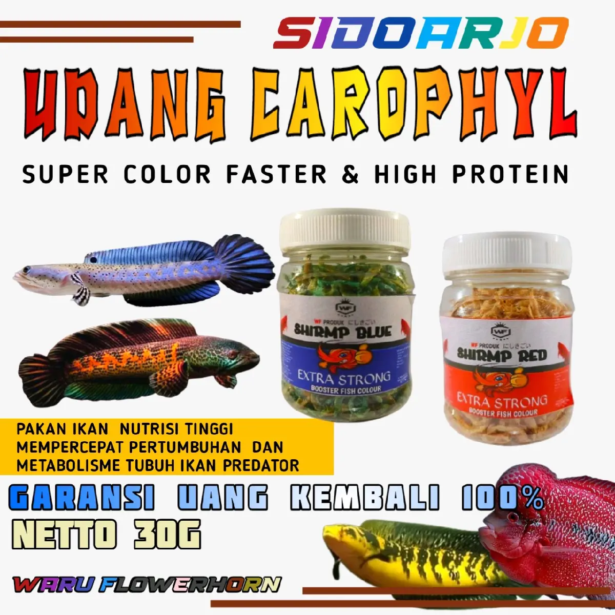 pakan chana udang kering carophyl pakan chana, arwana, louhan, chiclid dan ikan predator