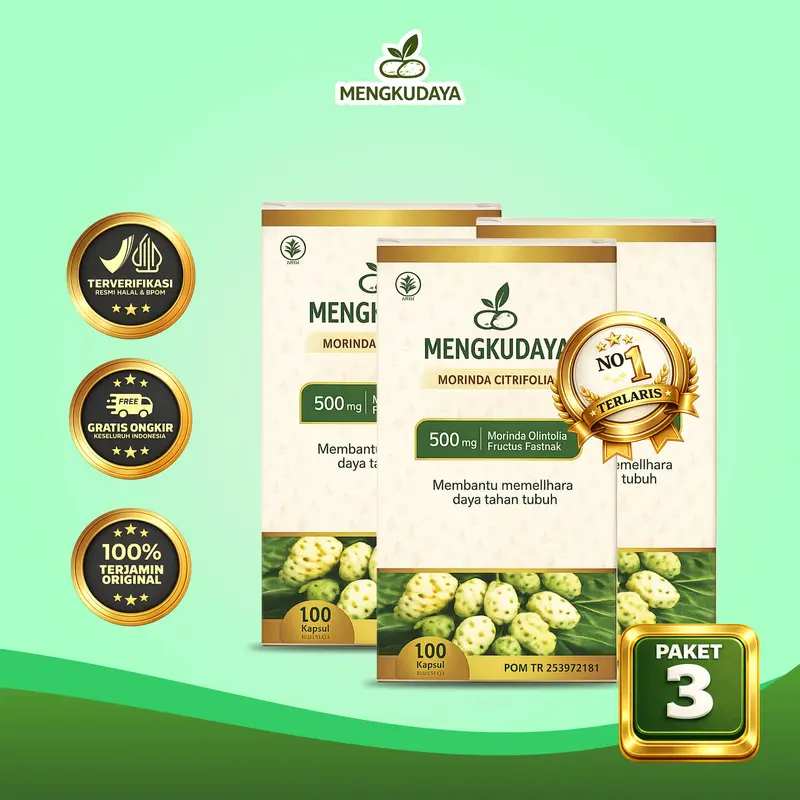MENGKUDAYA Paket 3 TikTok Shop