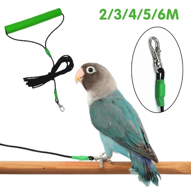 Anti-bite Bird Flying Rope Bird Leg Leash Elastic 2-6M Bird Leash ...