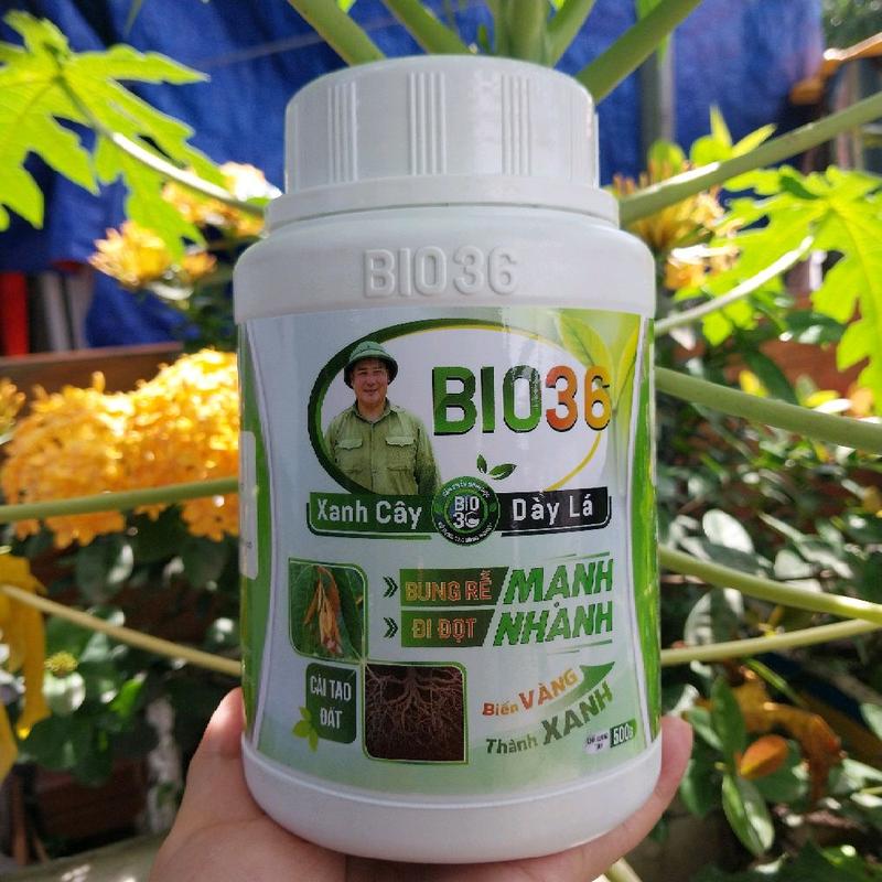 Bio 36 kích rễ hàng chính hãng. Phân bón sinh học giúp cây trồng phát triển tốt giúp ra rễ nhanh xanh cây dày lá mập đọt đậu trái. Bio 36 siêu kích rễ kích đọt hũ 500g