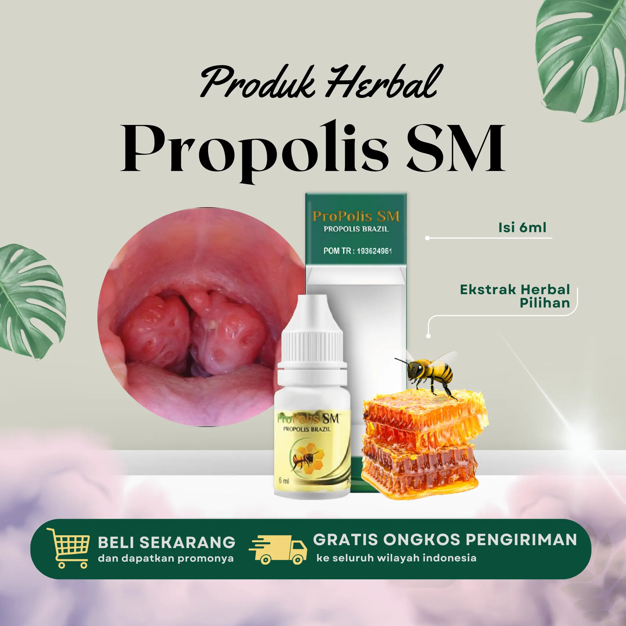 Propolis SM Untuk Pengecil Amandel