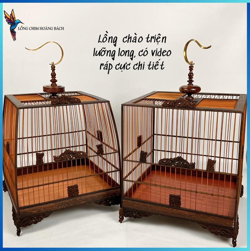 Khung lồng chim chào mào, lồng chim chào mào đục lưỡng long, chất liệu gỗ mun cao cấp, tặng kèm phụ kiện
