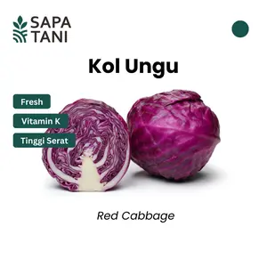 Kol Ungu Segar 300 gr Sapatani Sayuran Sehat untuk Salad dan Tumisan