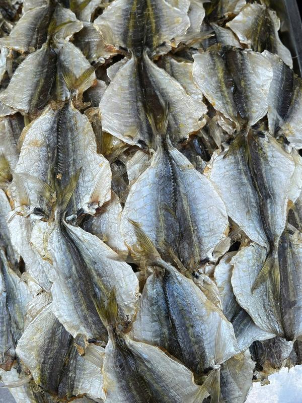 Cá Chỉ Vàng Mỡ - Shop Chà bông Heo Ánh Hồng