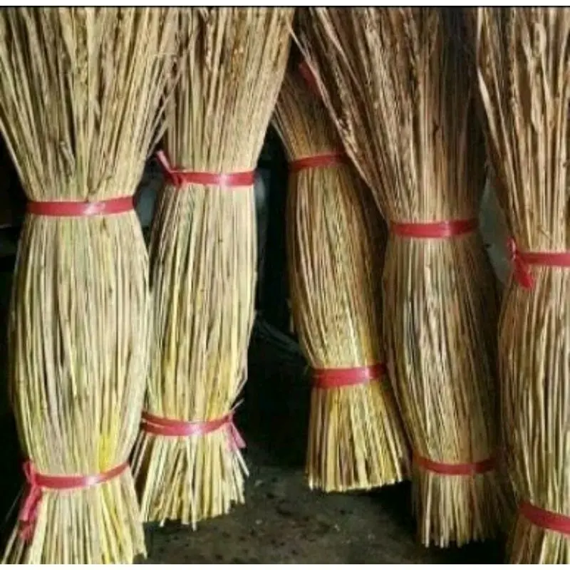 merang beras ketan hitam/putih seikat