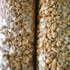 Snack kuping gajah mini 1kg camilan pak kering  Manis