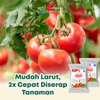 Gambar INFARM - Pupuk AB Mix Hidroponik Besar Tomat 1000  Liter Unsur Makro Mikro Tanaman Sehat Tumbuh Subur Mudah Tumbuh Buah AB Mix Powder Hydroponic Infarm Premium Kualitas Tinggi Nutrisi Buah Tomat Pelebat Buah Tomat  Anti Rontok Daun Buah Bunga Anti Hama dari Infarm Kota Surabaya 3 Tokopedia