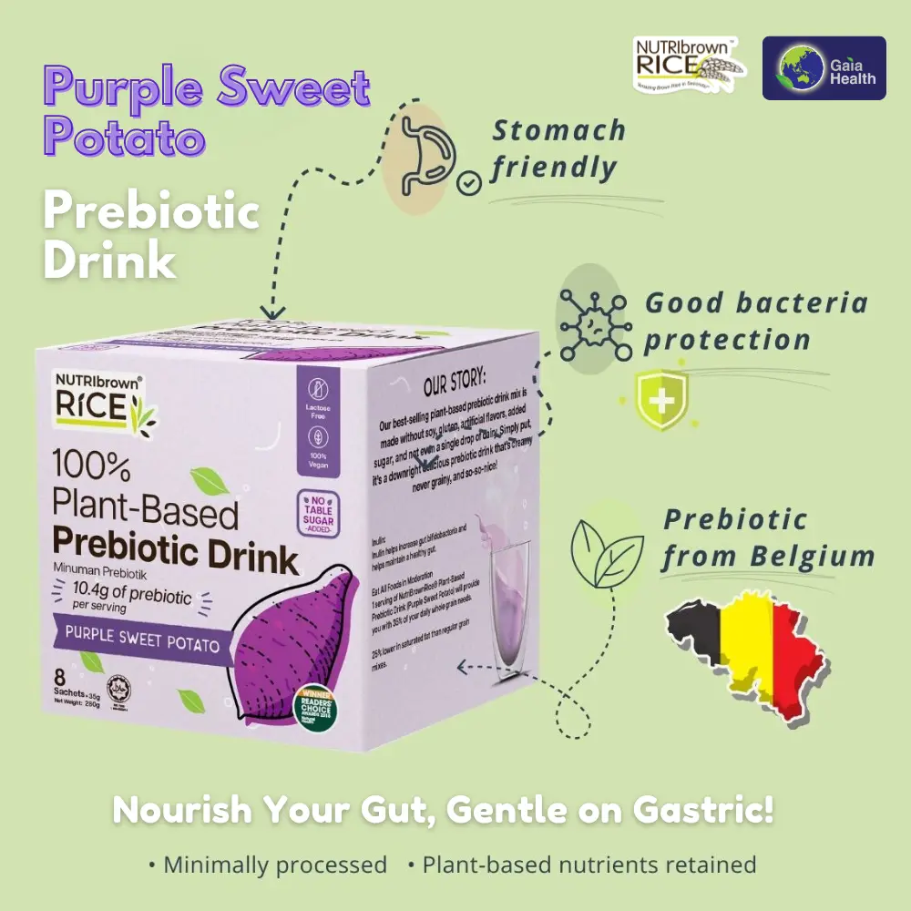 NutriBrownRice - Original Nutri Brown Rice Drink (Prebiotic, No Sugar Added): Improve your Digestive Health, gut health