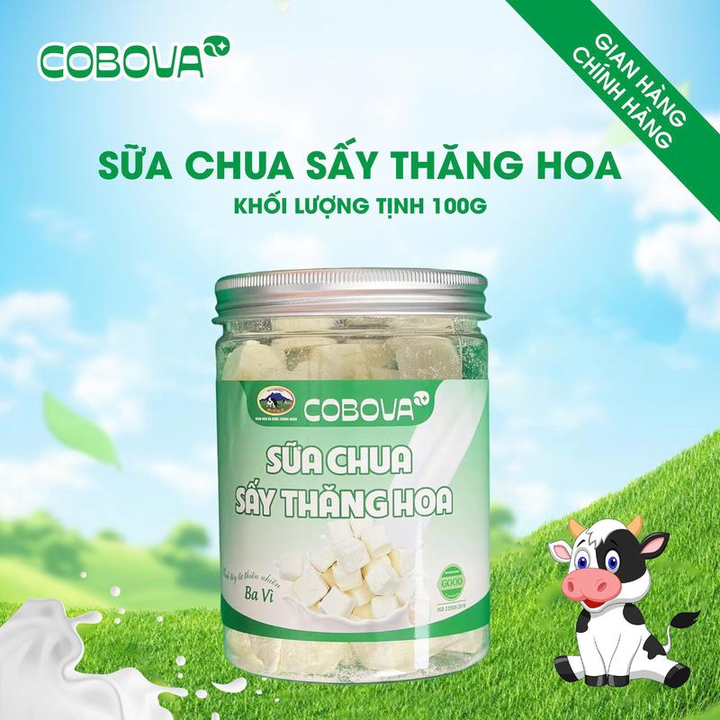  Sữa Chua Sấy Thăng Hoa COBOVA Thơm Ngon Chuẩn Vị Sữa Chua Ba Vì  Ăn Vặt Làm Quà. 