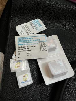 Product Review of Nexgard / Nexgard Spectra Anti-fleas & Ticks Chewable Tablet for Dogs | Sold per TABLET - New Stocks!! from h**i 1