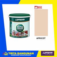 Gambar PROPAN ULTRAPROOF UPR 960 PAINT CAT ANTI BOCOR ANTI REMBES TAHAN SINAR UV DAN TAHAN AIR 1 KG - PASTEL GREY dari Tirta Bangunan Kota Depok 3 Tokopedia