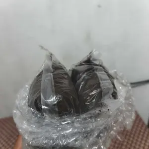 500GR Cocopeat cocopit kokopit alas kandang reptile gecko tarantula kelomang pacman frog kalajengking ular substrat alami reptile