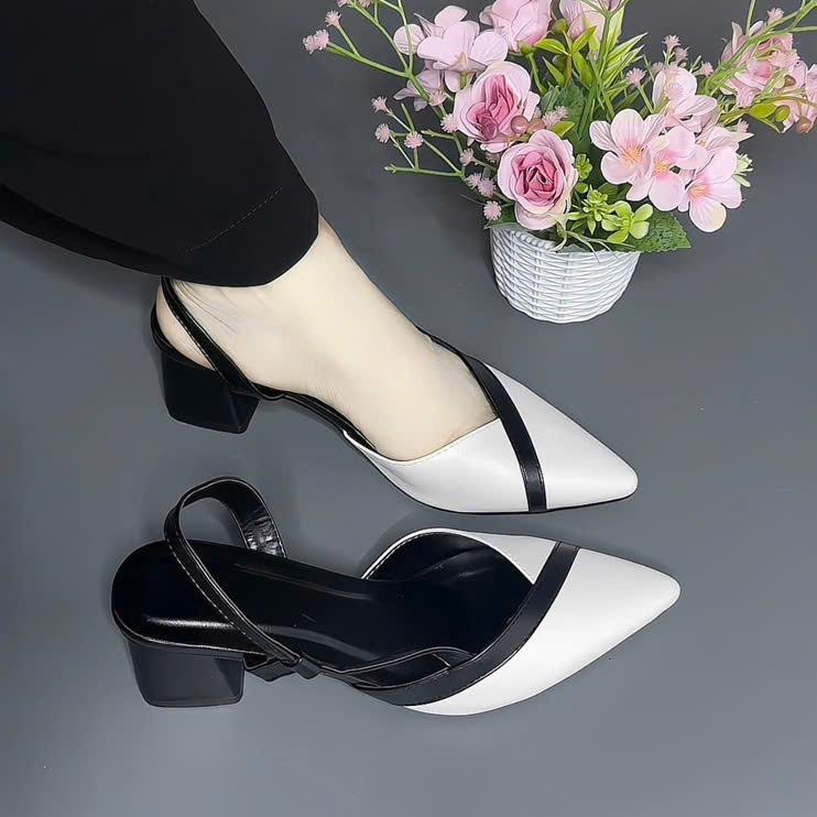  Giày sandanl cao got bít mũi gót nhọn 5p giày  shop  dép nữ  mã sabdabl   